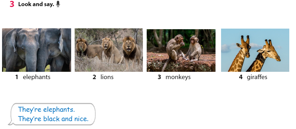 Tiếng Anh 3 Wonderful World Unit 3 Lesson 2