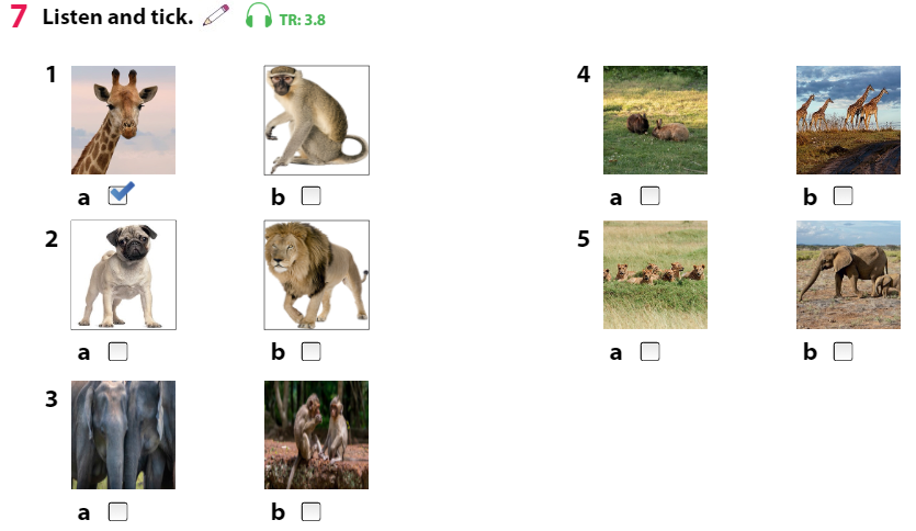 Tiếng Anh 3 Wonderful World Unit 3 Lesson 2