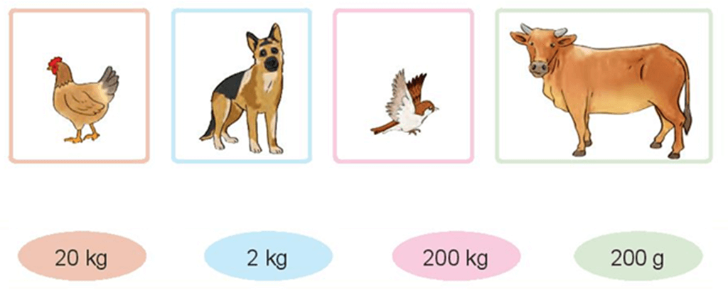 Đề thi Học kì 1 Toán lớp 3 Kết nối tri thức