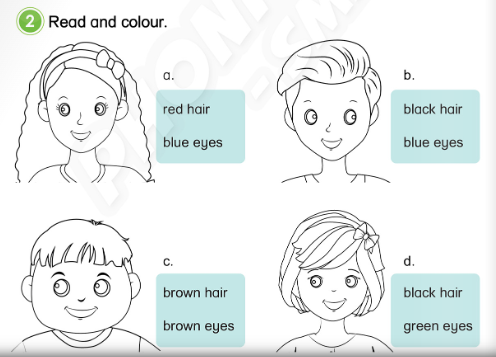 SBT Tiếng Anh 3 Phonics Smart Unit 3 Lesson 2