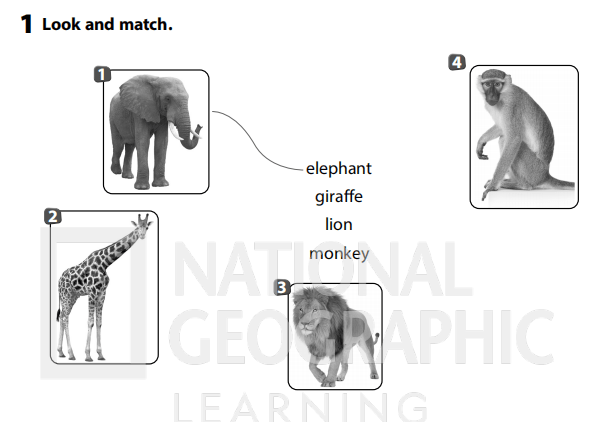 Sách bài tập Tiếng Anh 3 Wonderful World Unit 3 Lesson 2