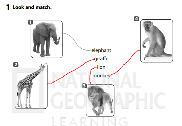 Sách bài tập Tiếng Anh 3 Wonderful World Unit 3 Lesson 2