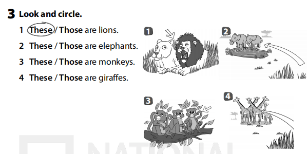 Sách bài tập Tiếng Anh 3 Wonderful World Unit 3 Lesson 2