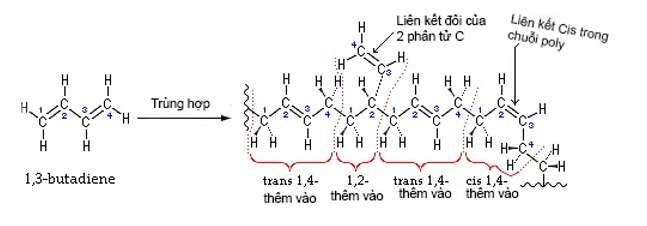 điều chế cao su buna