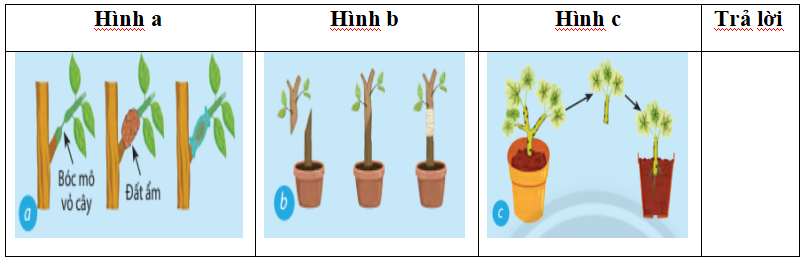 Đề thi Công nghệ 7 giữa kì 1