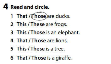 Sách bài tập Tiếng Anh 3 Wonderful World Review 2