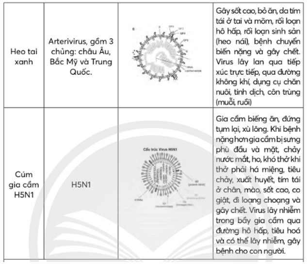 Giải Sinh 10 Bài 31