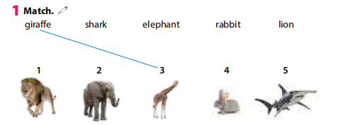 Tiếng Anh 3 Wonderful World Review 2 Part 2