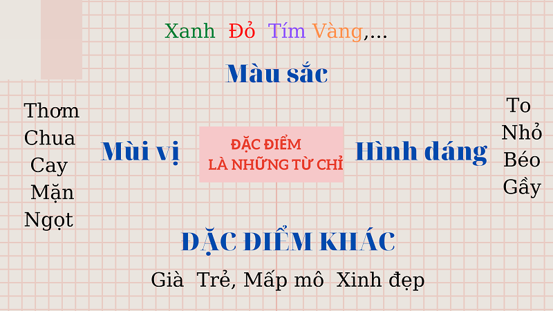 Từ chỉ đặc điểm