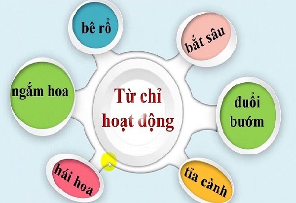Từ chỉ hoạt động, trạng thái
