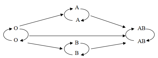 Đề cương Sinh học 8 hk 1