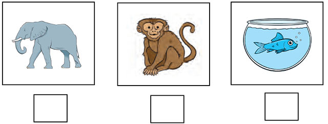 Đề thi Học kì 1 Tiếng Anh lớp 3 Family and Friends