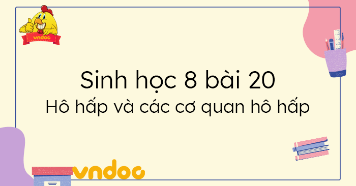 Sinh học 8 bài 20
