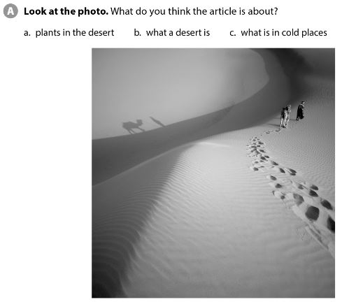 SBT Tiếng Anh 7 Cánh Diều Unit 4 Reading