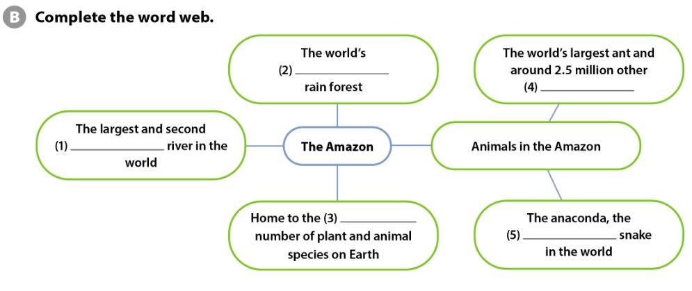 Tiếng Anh 7 Cánh Diều Unit 4 Comprehension