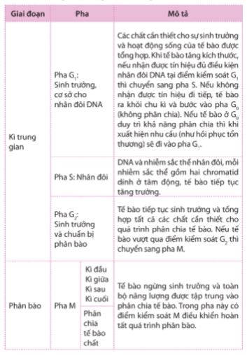 Giải Sinh 10 Bài 13