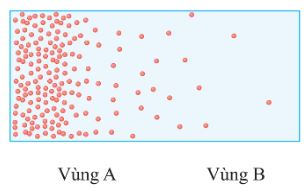 Giải Sinh 10 Bài 9