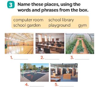 Unit 6 lớp 7 Getting Started sách Global Success