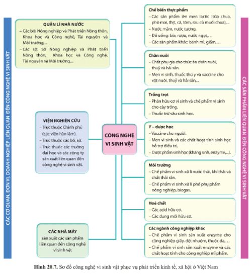 Giải Sinh 10 Bài 20