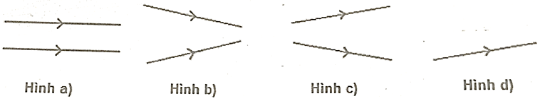 Đề thi Học kì 1 Khoa học tự nhiên lớp 7 Kết nối tri thức có đáp án (4 đề)