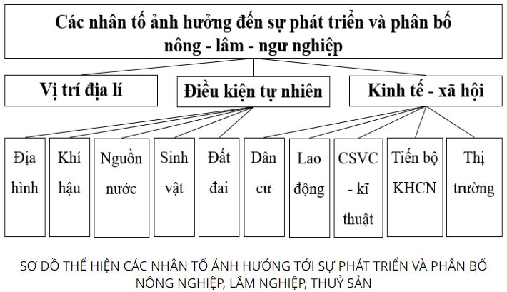 Giải Địa 10 Bài 25 CTST