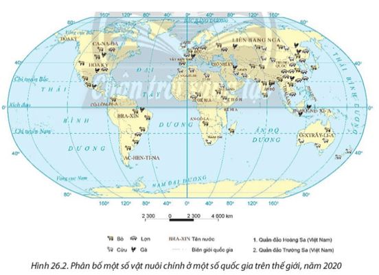 Giải Địa 10 Bài 26