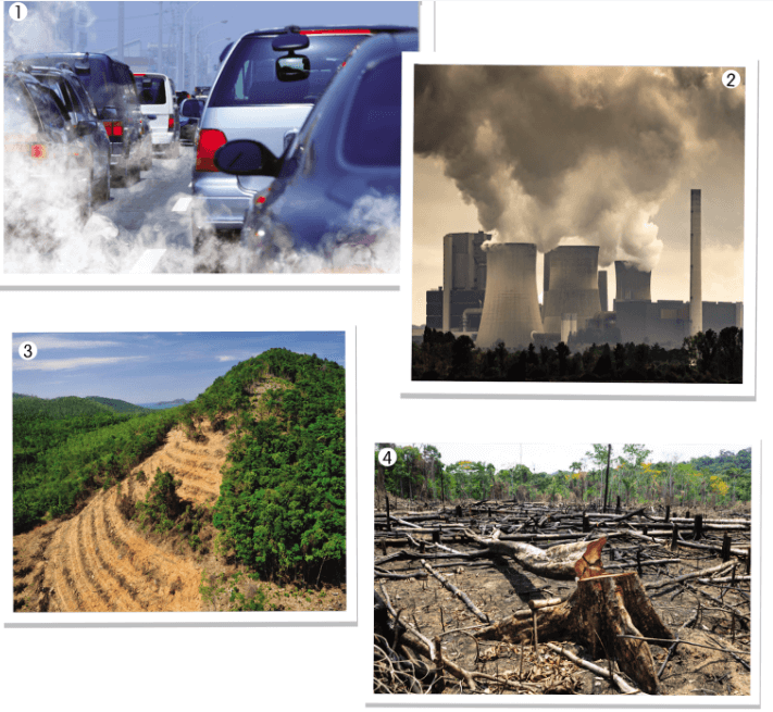 Hiệu ứng nhà kính