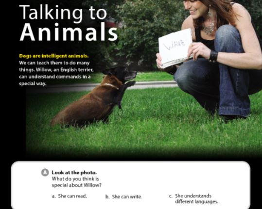 Tiếng Anh 7 Cánh Diều Unit 5 The Real World