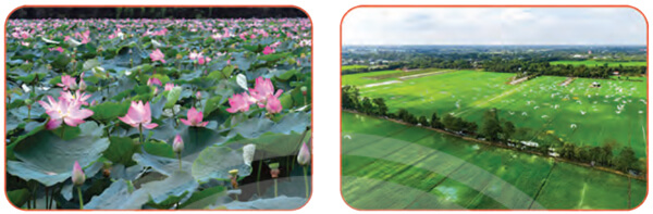 Bài 4: Mênh mông mùa nước nổi