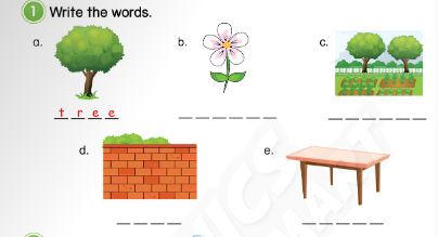SBT Tiếng Anh 3 Phonics Smart Unit 5 Lesson 3