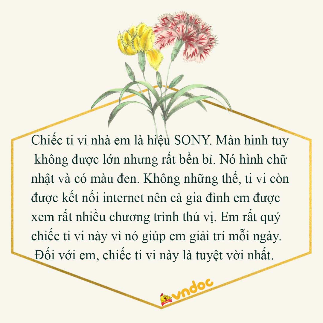 Tả đồ vật mà em yêu thích lớp 2