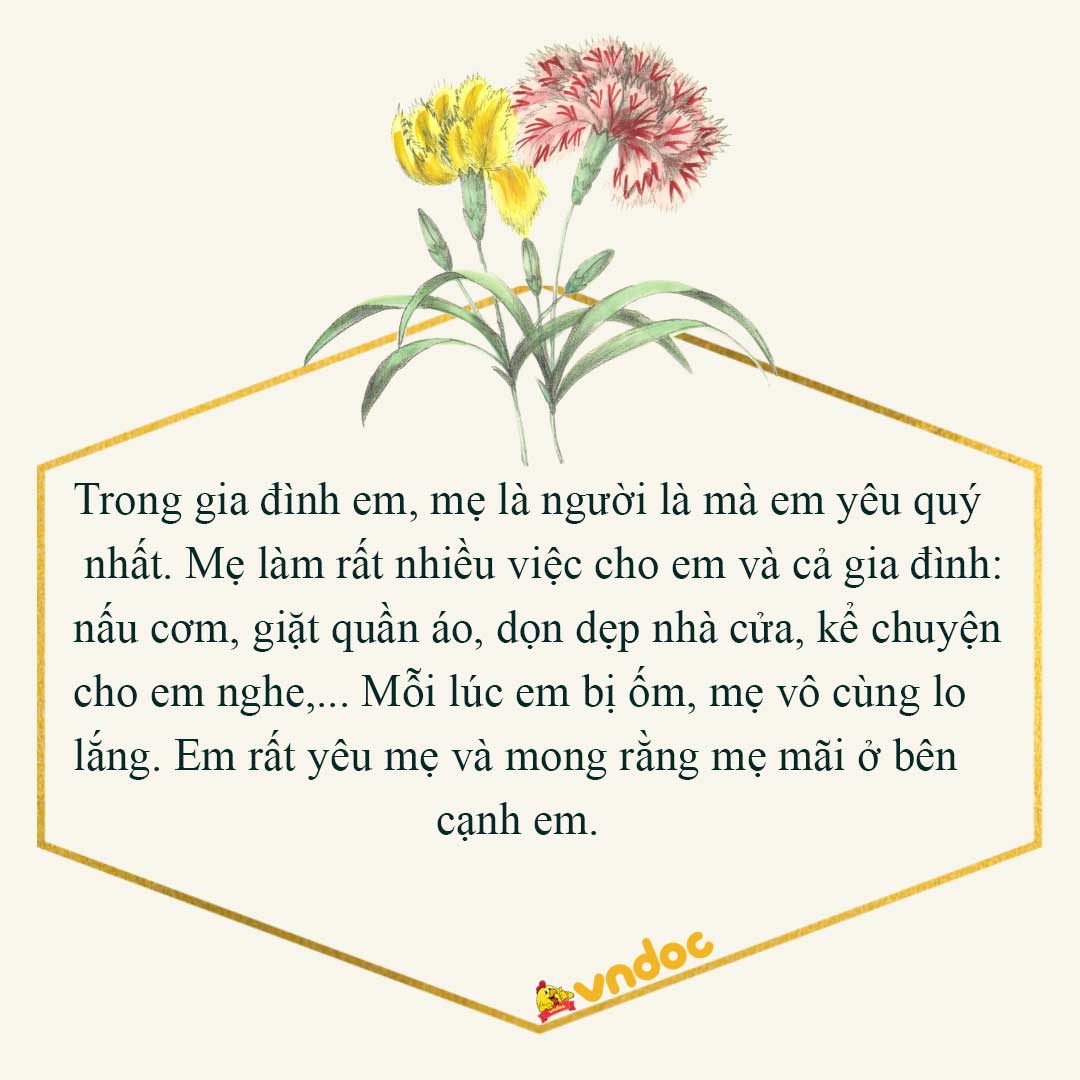 Viết 3 – 4 câu kể một việc người thân đã làm cho em