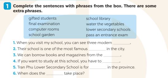 Giải SBT Tiếng Anh 7 Global Success Unit 6 Vocabulary & Grammar