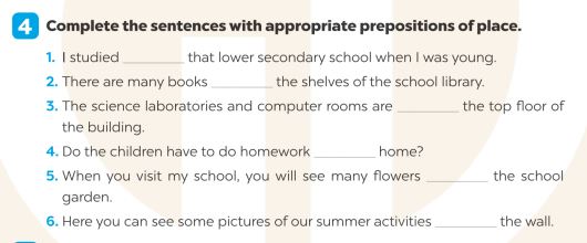 Giải SBT Tiếng Anh 7 Global Success Unit 6 Vocabulary & Grammar