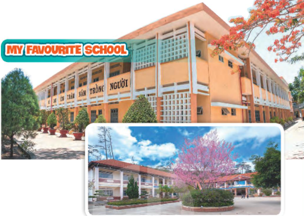 Unit 6 lớp 7 Project sách Global Success