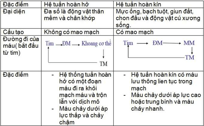 ôn tập sinh học 11
