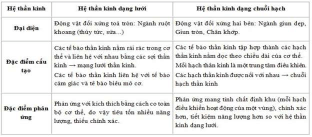 ôn tập sinh học 11