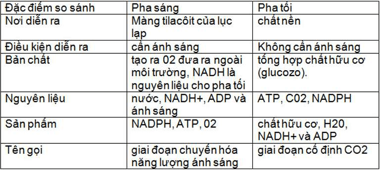 ôn tập sinh học 11