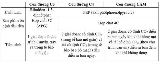 ôn tập sinh học 11