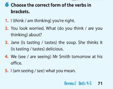 Review 2 lớp 11 Langauge