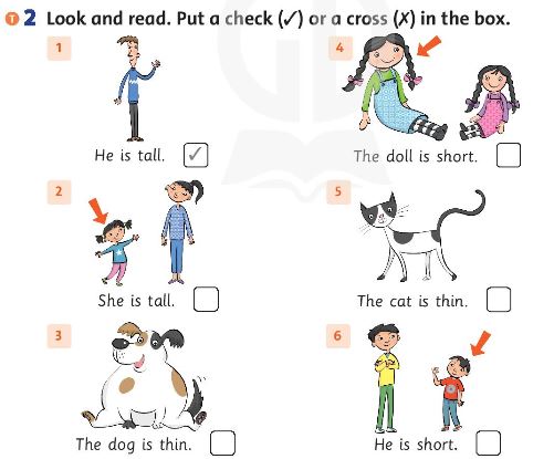 Family and Friends 3 Workbook Unit 6 Lesson 3 trang 44