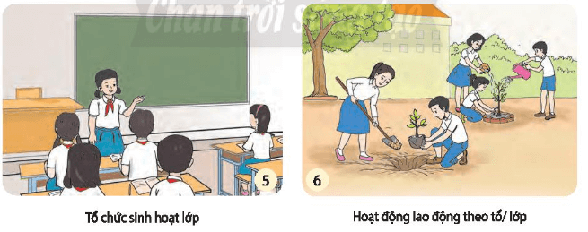 Hoạt động trải nghiệm 7