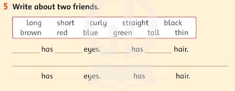 Family and Friends 3 Workbook Review 2 trang 48