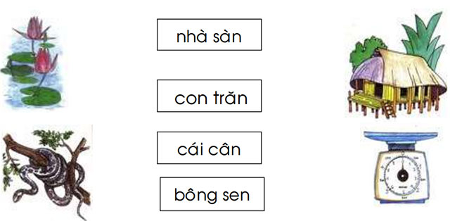 Nối từ với hình