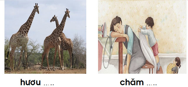 Đề thi kì 1 môn Tiếng Việt lớp 1 sách Kết nối tri thức