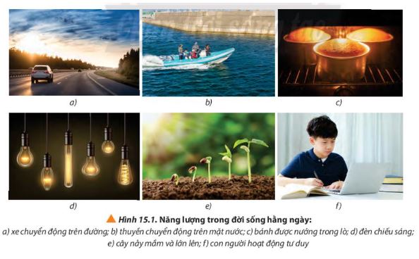 Giải Lý 10 Bài 15