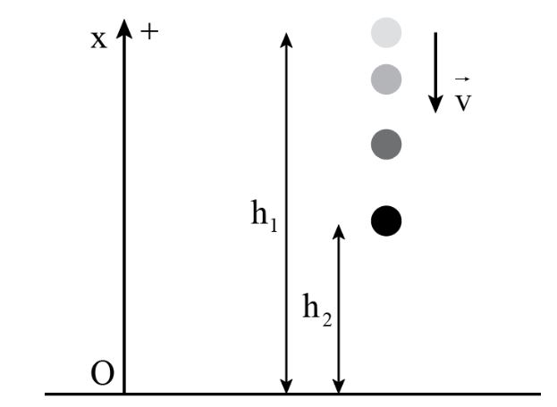 Giải Lý 10 Bài 17