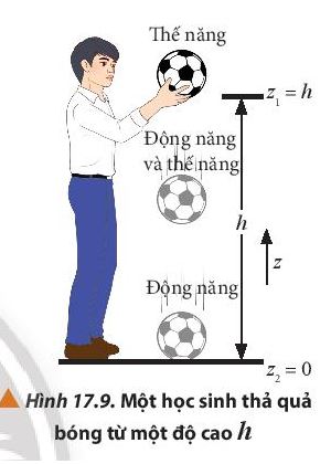 Giải Lý 10 Bài 17