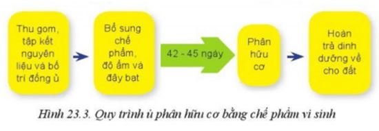 Giải Công nghệ 10 Bài 23