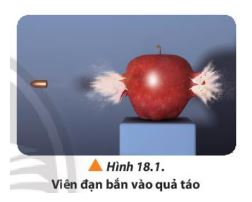 Giải Lý 10 Bài 18